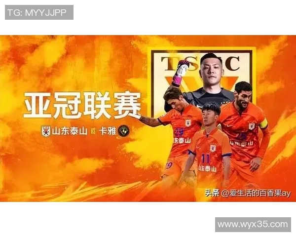 中超球队在亚冠联赛中的表现与未来展望分析总结